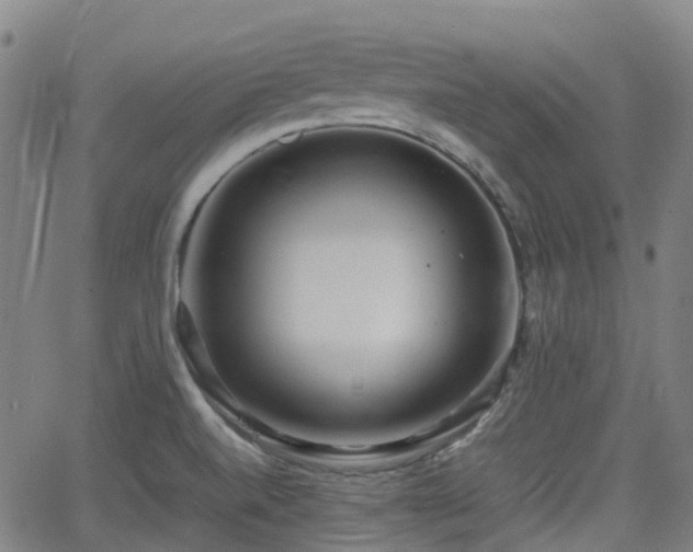 X0000064041520200601301136