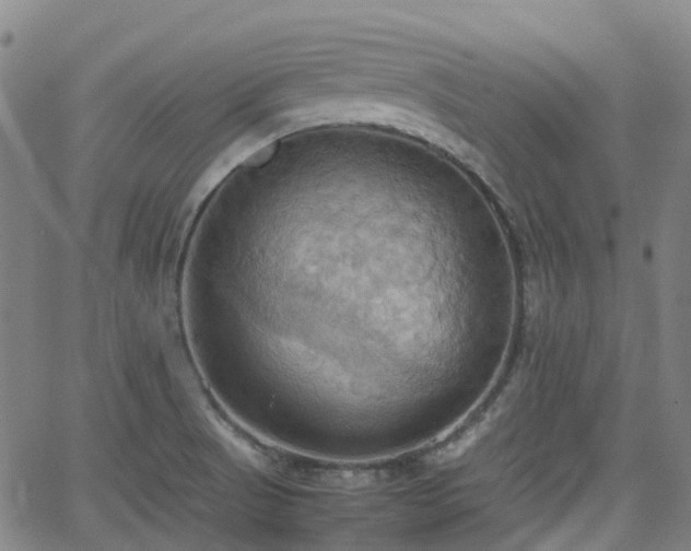 X0000064041521200601301136