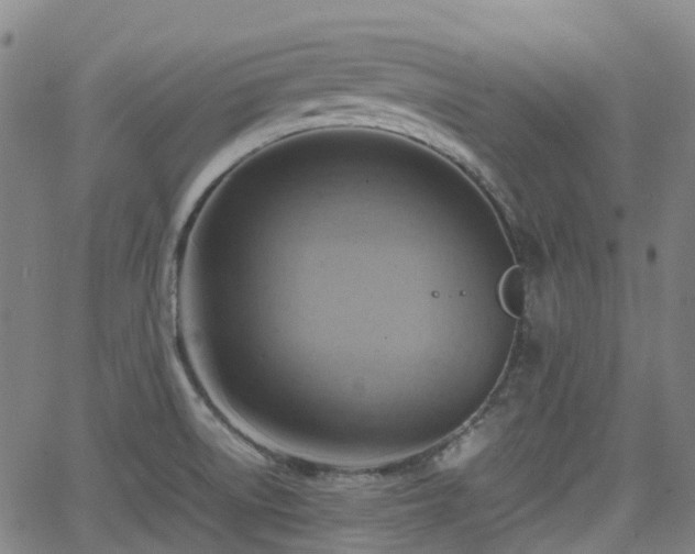 X0000064041522200601301136