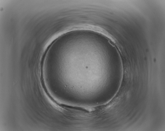 X0000064041523200601301136