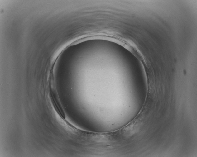 X0000064041524200601301136