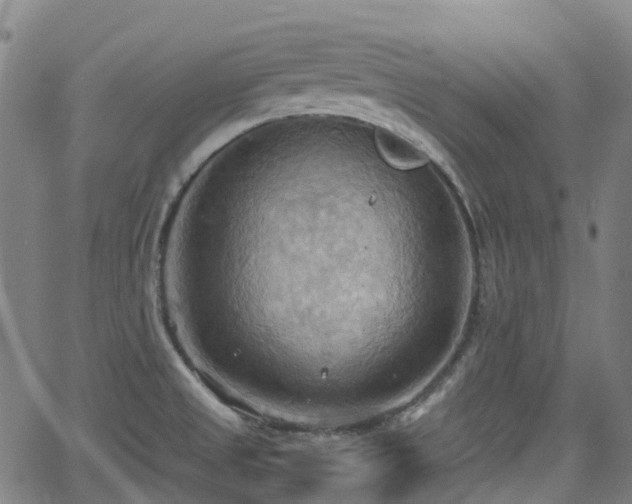 X0000064041525200601301136