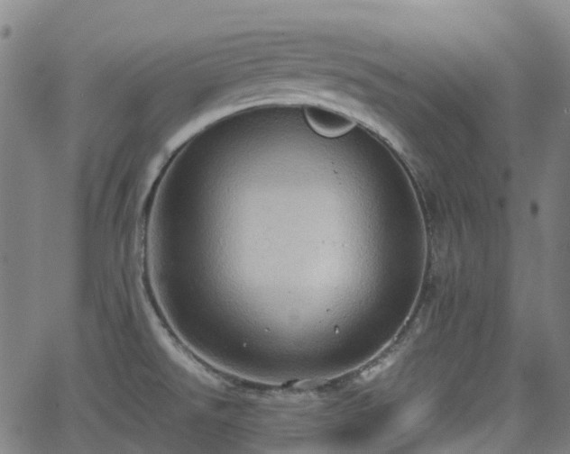 X0000064041526200601301136