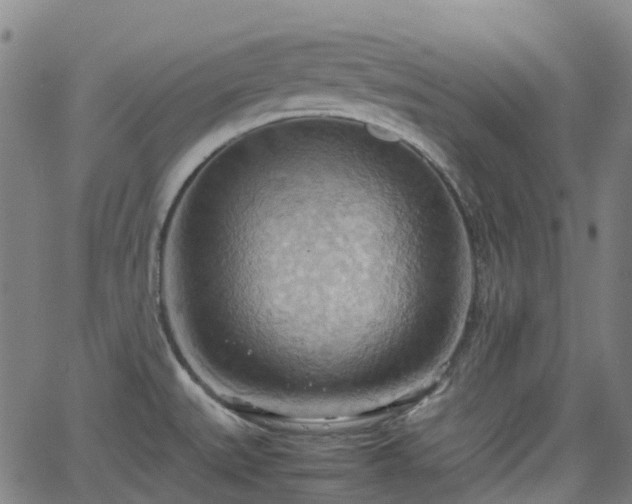 X0000064041527200601301136