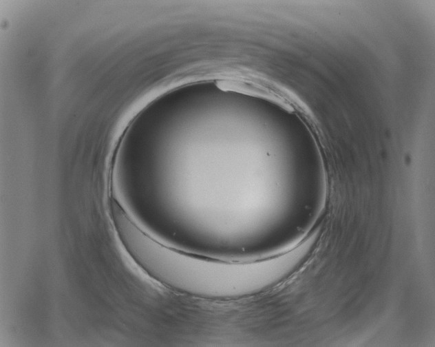 X0000064041528200601301136