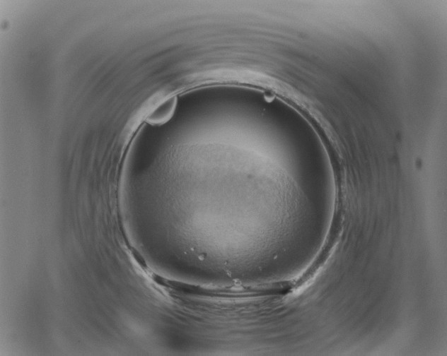 X0000064041529200601301136