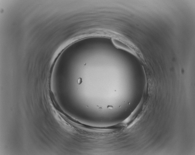 X0000064041530200601301136