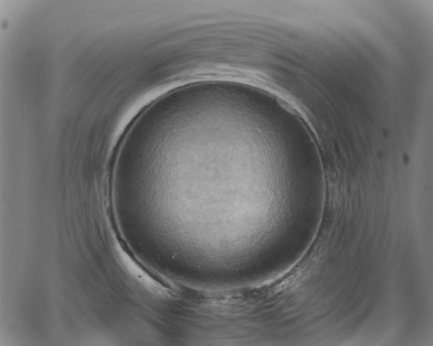 X0000064041531200601301136