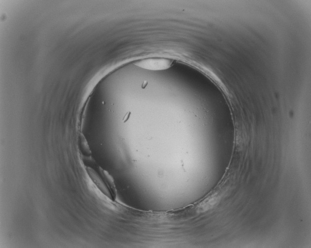 X0000064041532200601301136