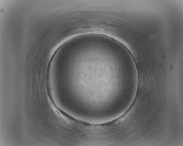 X0000064041534200601301136