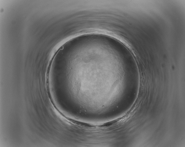 X0000064041535200601301136