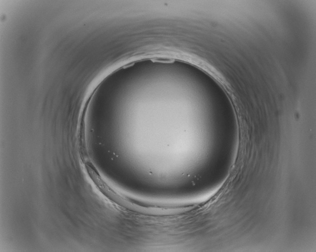 X0000064041536200601301136