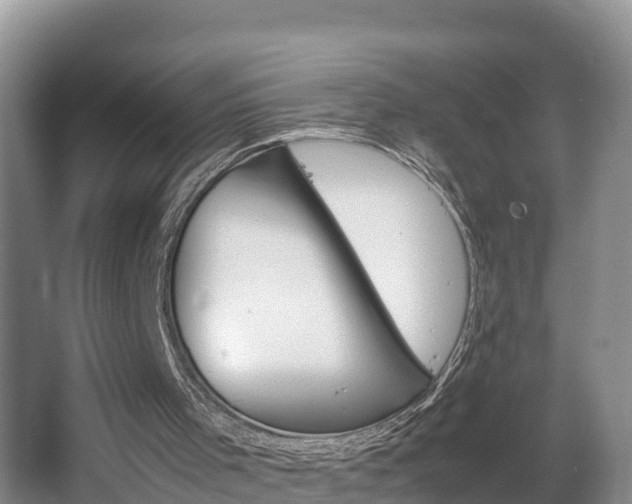 X0000064040001200602031609