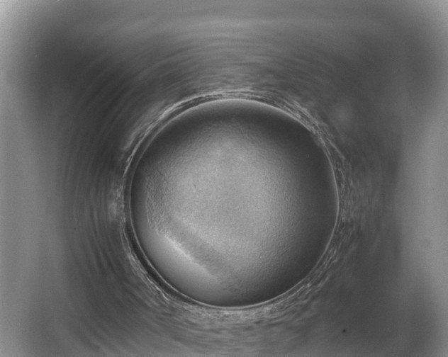 X0000064040002200602031609