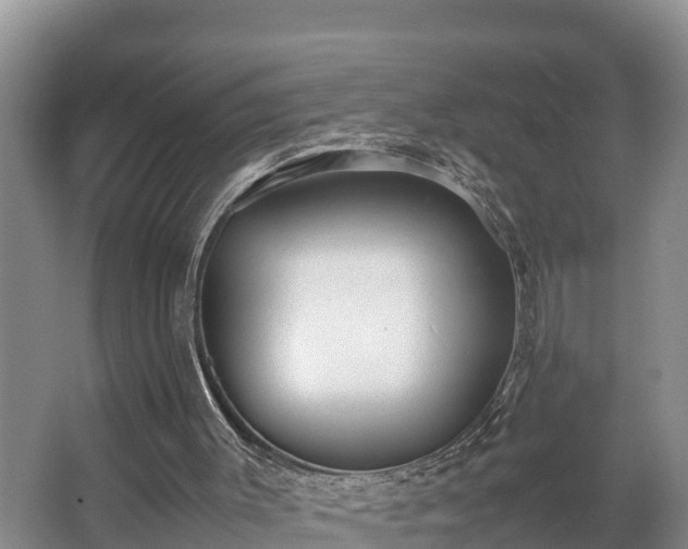 X0000064040003200602031609