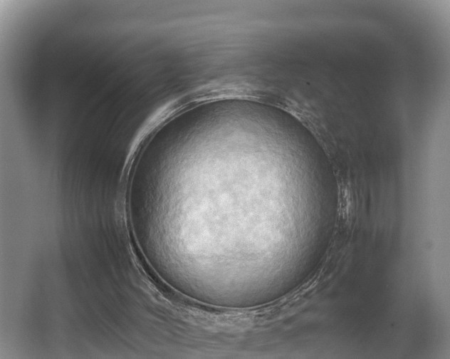 X0000064040004200602031609