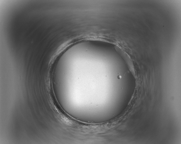 X0000064040005200602031609