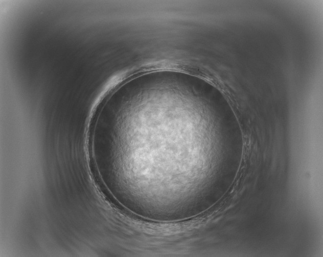 X0000064040006200602031609