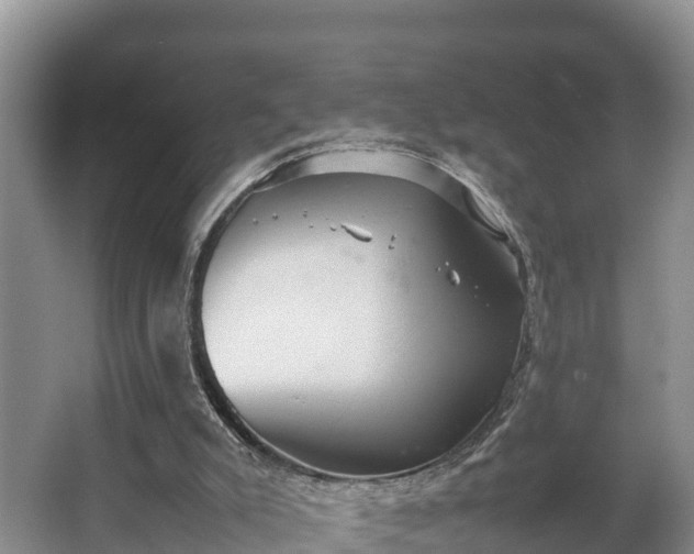 X0000064040007200602031609