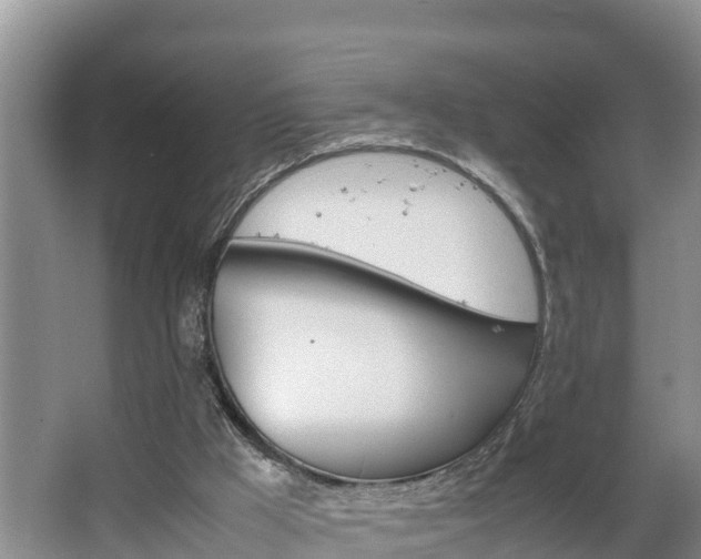 X0000064040009200602031609