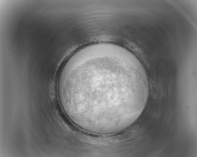 X0000064040012200602031609