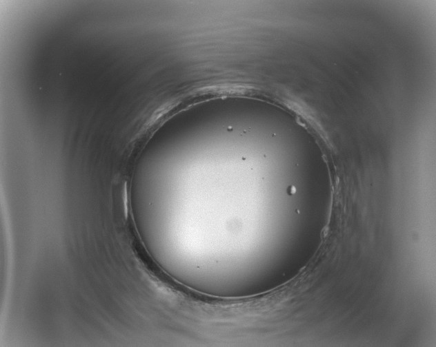 X0000064040013200602031609