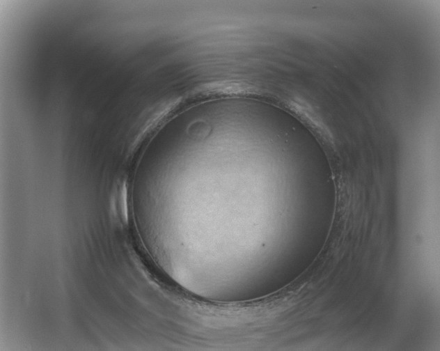 X0000064040014200602031609