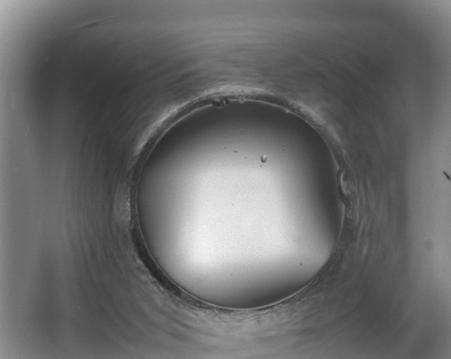 X0000064040015200602031609