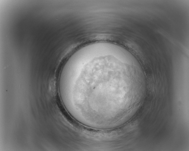 X0000064040016200602031609