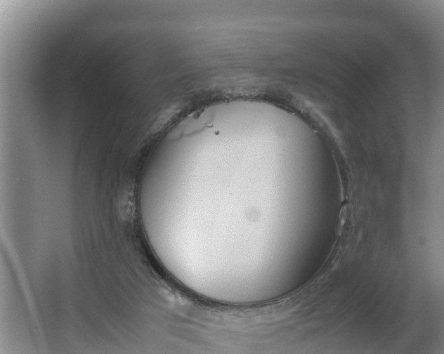 X0000064040017200602031609