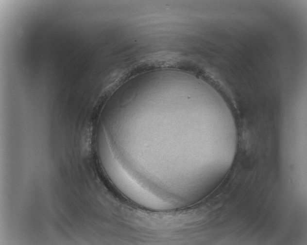 X0000064040018200602031609