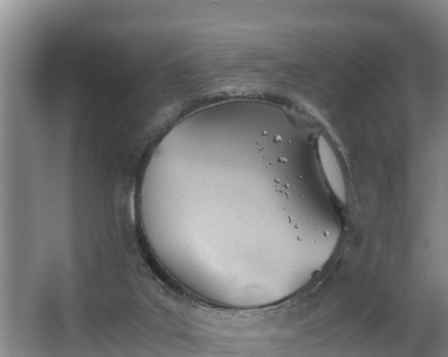 X0000064040019200602031609