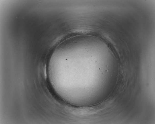 X0000064040020200602031609