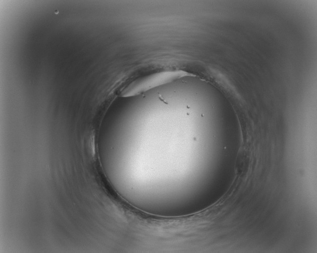 X0000064040021200602031609