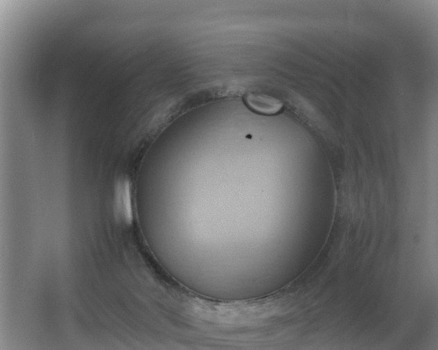 X0000064040022200602031609