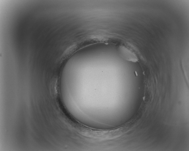 X0000064040023200602031609