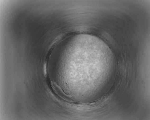 X0000064040024200602031609