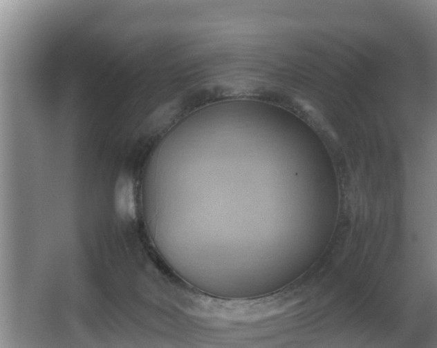 X0000064040026200602031609