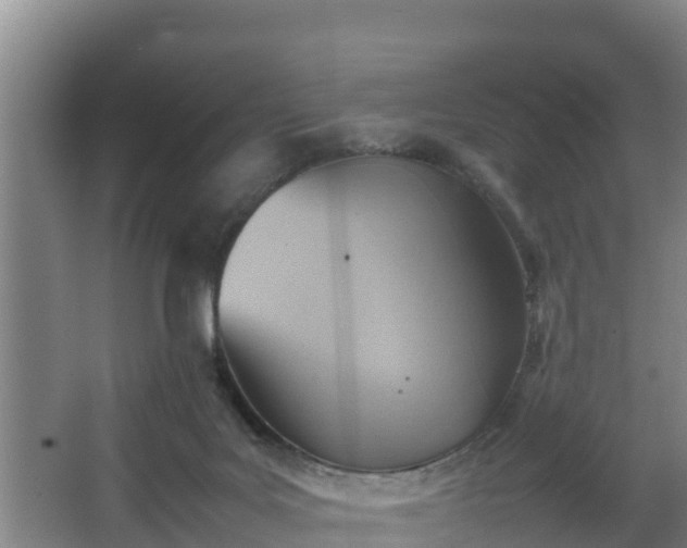 X0000064040027200602031609