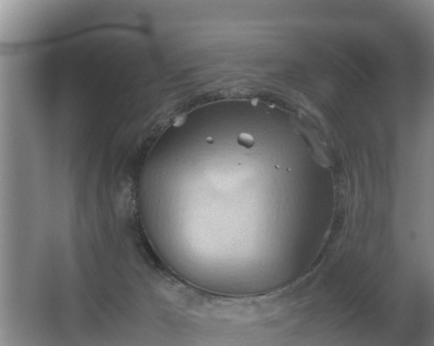 X0000064040029200602031609