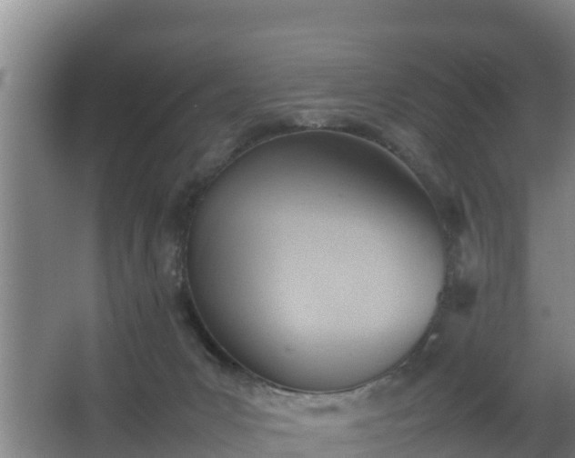 X0000064040031200602031609