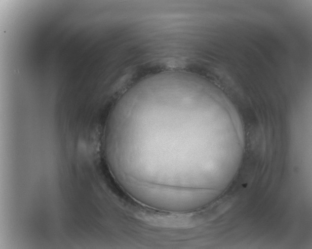 X0000064040032200602031609