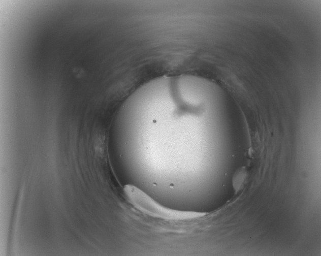 X0000064040033200602031609