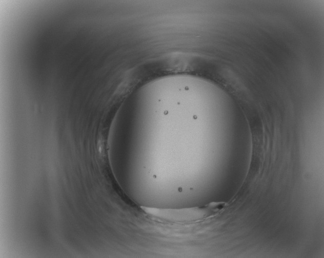 X0000064040035200602031609