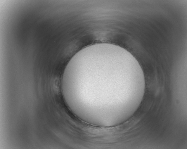 X0000064040036200602031609