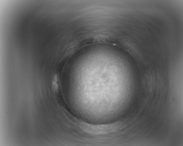 X0000064040038200602031609