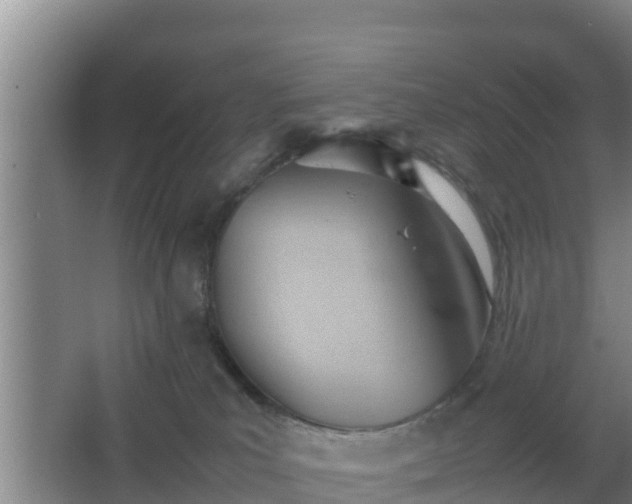 X0000064040039200602031609