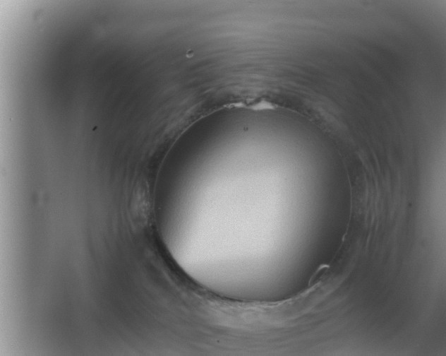 X0000064040040200602031609