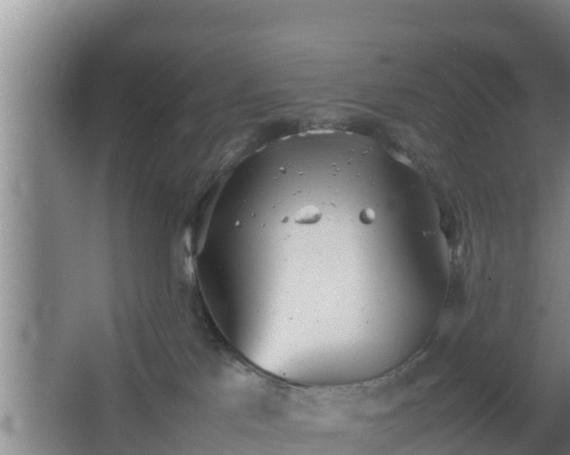 X0000064040041200602031609