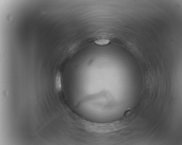 X0000064040042200602031609